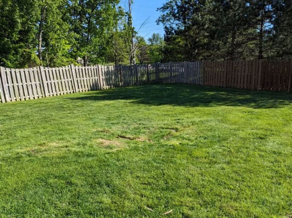 Large backyard with well-maintained green grass and wooden fence.