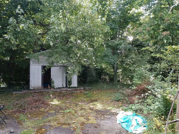 Backyard with shed and overgrown trees, yard debris, and a blue tarp.