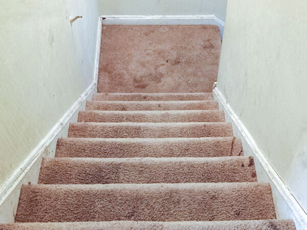 Carpeted staircase leading to a landing in a residential property.