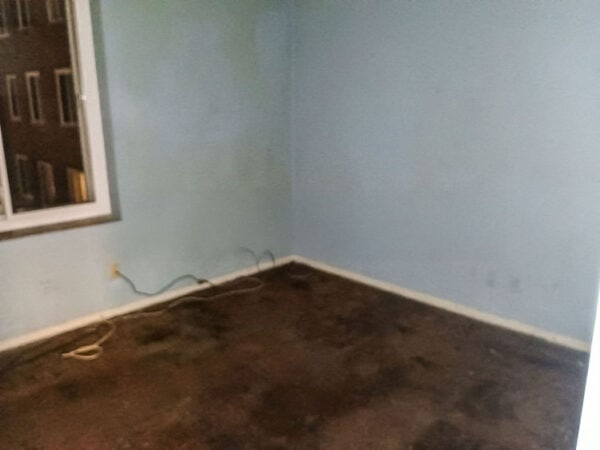 Empty room with blue walls and dark carpet at Profi Property Solutions LLC.