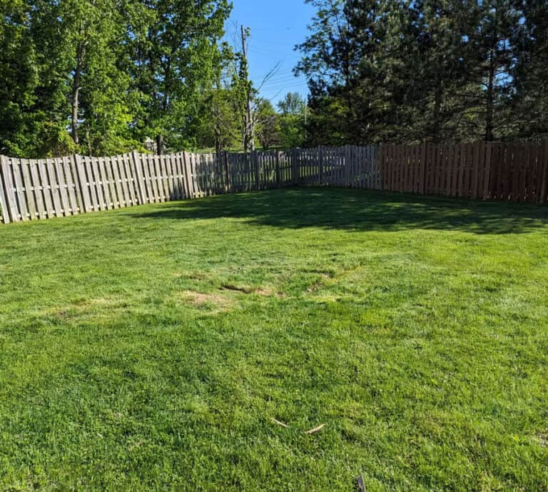 Large backyard with well-maintained green grass and wooden fence.