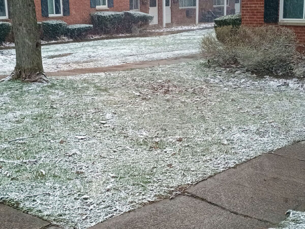Snow-covered lawn and sidewalk outside residential buildings in winter.